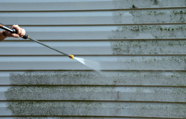 Best Solar Panel Cleaning  in Stanley, VA